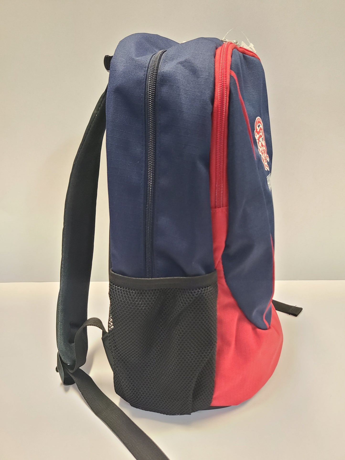 Backpack - Dragon